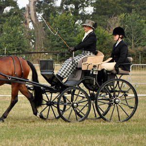 Tracey Dressage